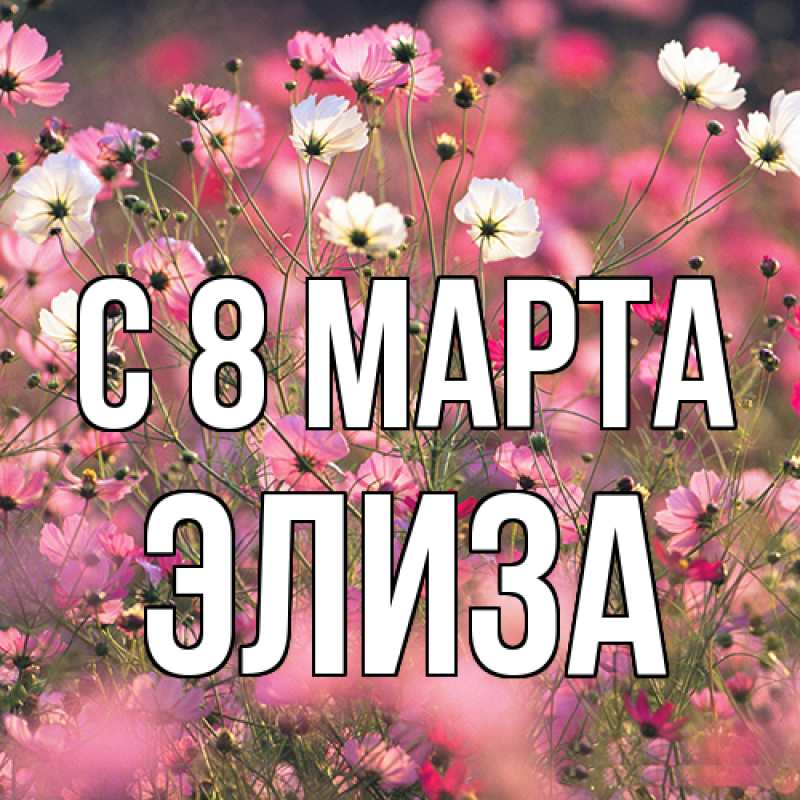 Картинка C 8 МАРТА, Элиза