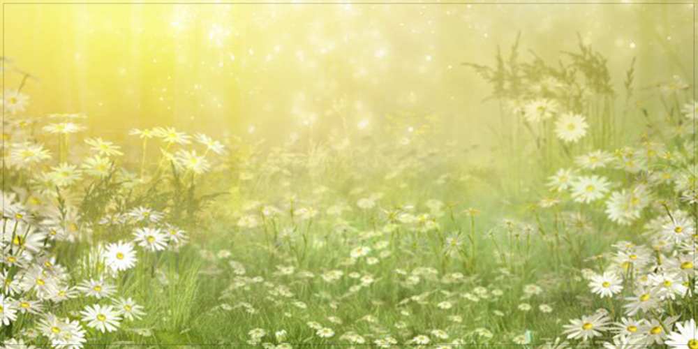 Открытка на каждый день с именем, Снежана Доброе утро доброе утро Прикольная открытка с пожеланием онлайн скачать бесплатно 