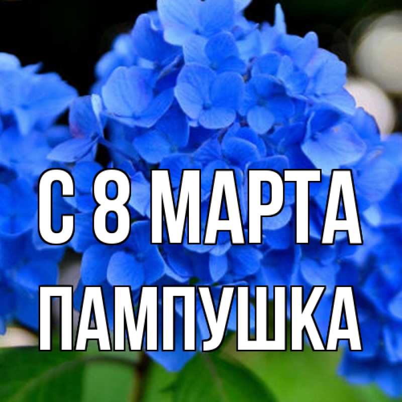 Картинка C 8 МАРТА, Пампушка