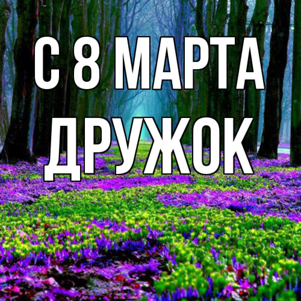 Открытка на каждый день с именем, Дружок C 8 МАРТА фиолетовые цветы в лесу 1 Прикольная открытка с пожеланием онлайн скачать бесплатно 