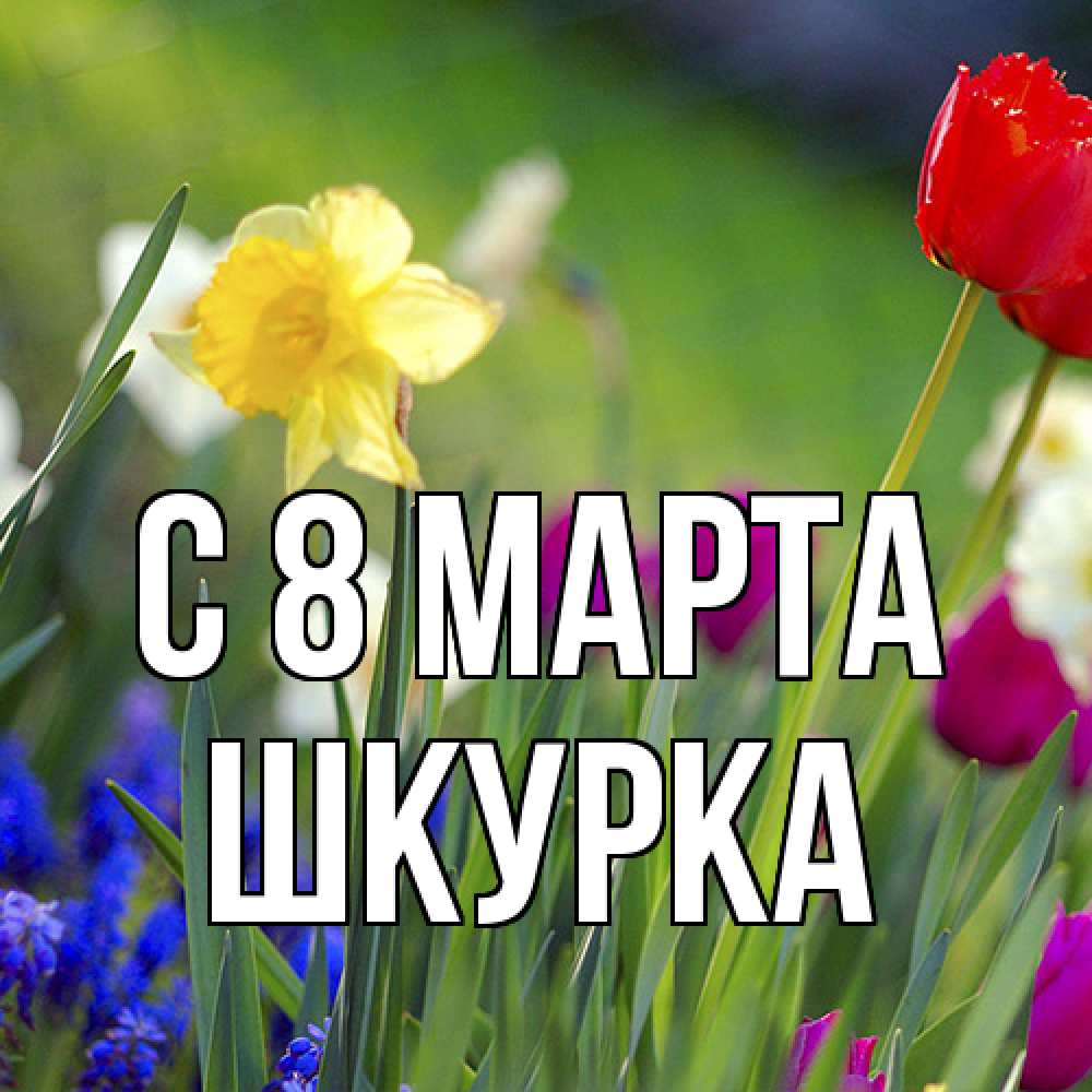 Открытка на каждый день с именем, Шкурка C 8 МАРТА международный женский день 3 Прикольная открытка с пожеланием онлайн скачать бесплатно 