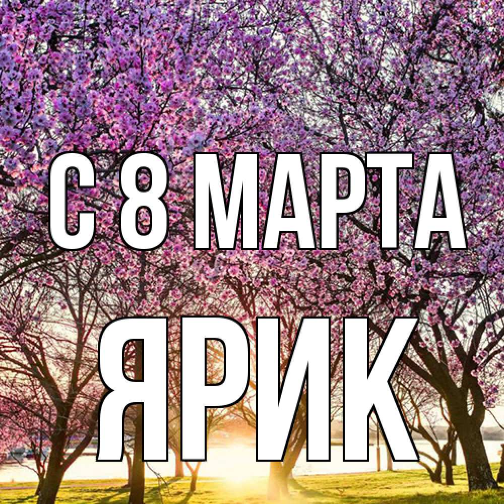 Открытка на каждый день с именем, Ярик C 8 МАРТА международный женский день Прикольная открытка с пожеланием онлайн скачать бесплатно 