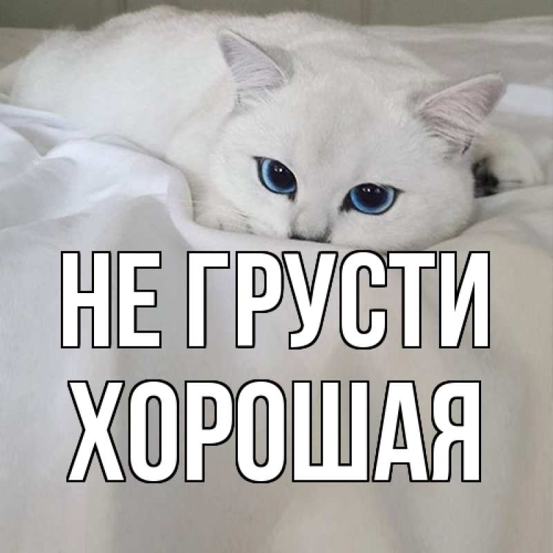 Картинка Не грусти, хорошая