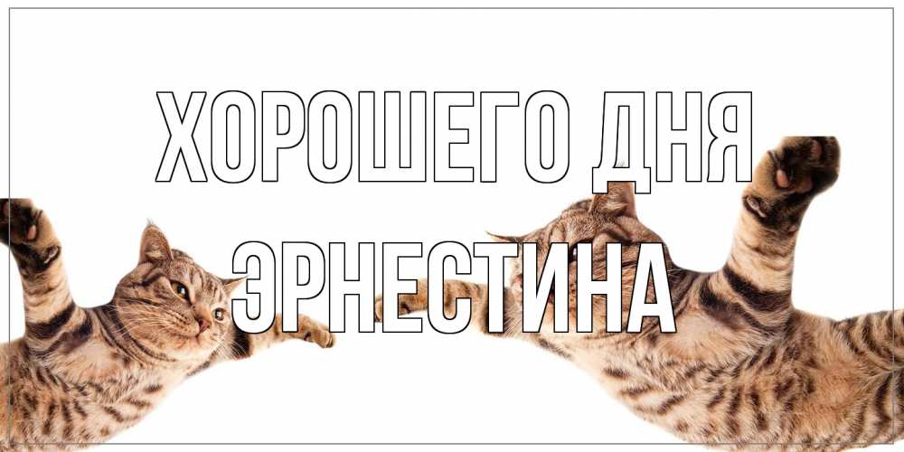 Открытка на каждый день с именем, Эрнестина Хорошего дня хорошего дня Прикольная открытка с пожеланием онлайн скачать бесплатно 