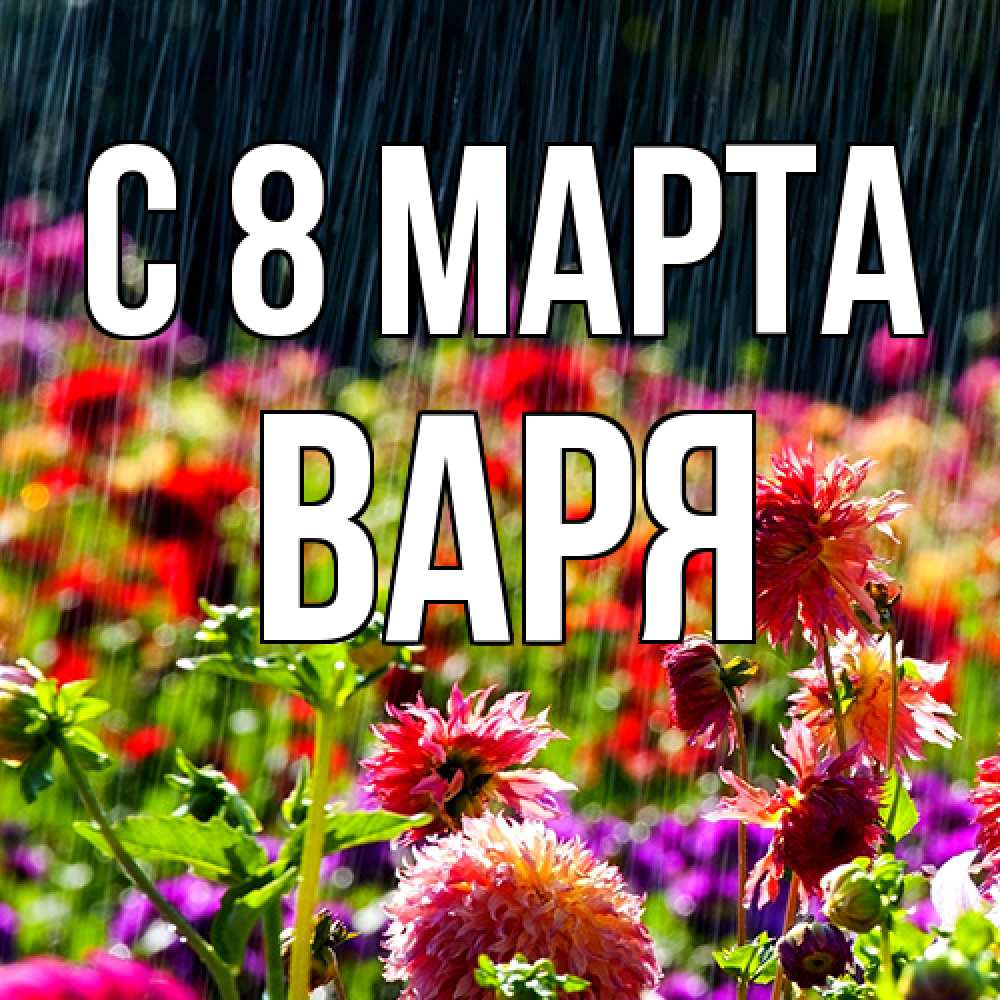 Открытка на каждый день с именем, Варя C 8 МАРТА цветы под дождиком к международному женскому дню Прикольная открытка с пожеланием онлайн скачать бесплатно 