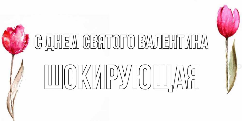 Открытка на каждый день с именем, Шокирующая С днем Святого Валентина Открытки на день всех влюбленных с тюльпанами акварелью Прикольная открытка с пожеланием онлайн скачать бесплатно 