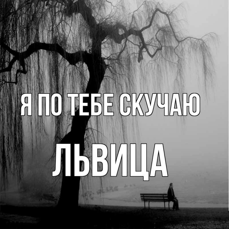 Картинка Я по тебе скучаю, Львица