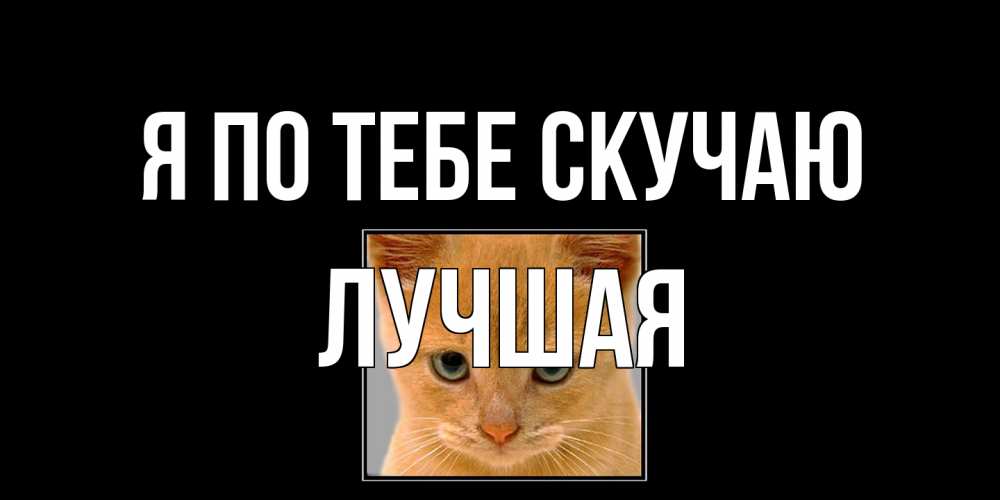 Открытка на каждый день с именем, Лучшая Я по тебе скучаю открытки рыжий котенок скучает по тебе Прикольная открытка с пожеланием онлайн скачать бесплатно 