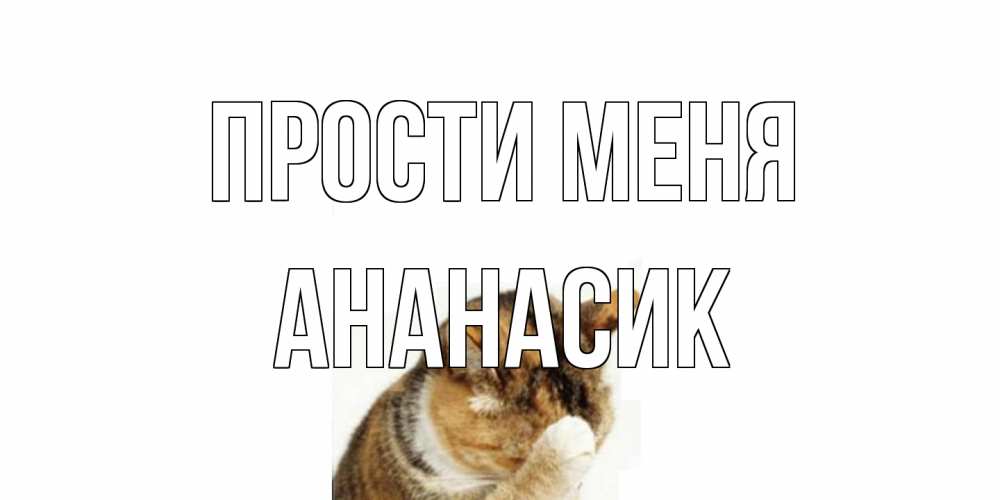 Открытка на каждый день с именем, ананасик Прости меня кот Прикольная открытка с пожеланием онлайн скачать бесплатно 