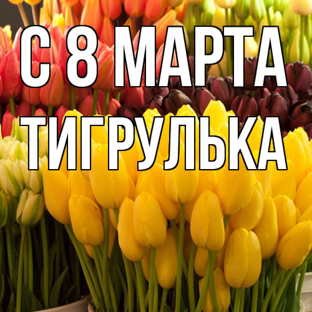 Открытка на каждый день с именем, тигрулька C 8 МАРТА цветы Прикольная открытка с пожеланием онлайн скачать бесплатно 