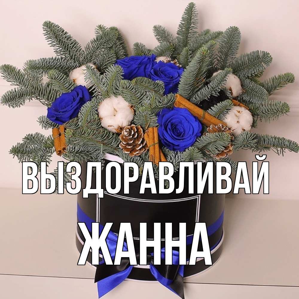 Открытка на каждый день с именем, Жанна Выздоравливай короче кто то загрузил эти шишки Прикольная открытка с пожеланием онлайн скачать бесплатно 