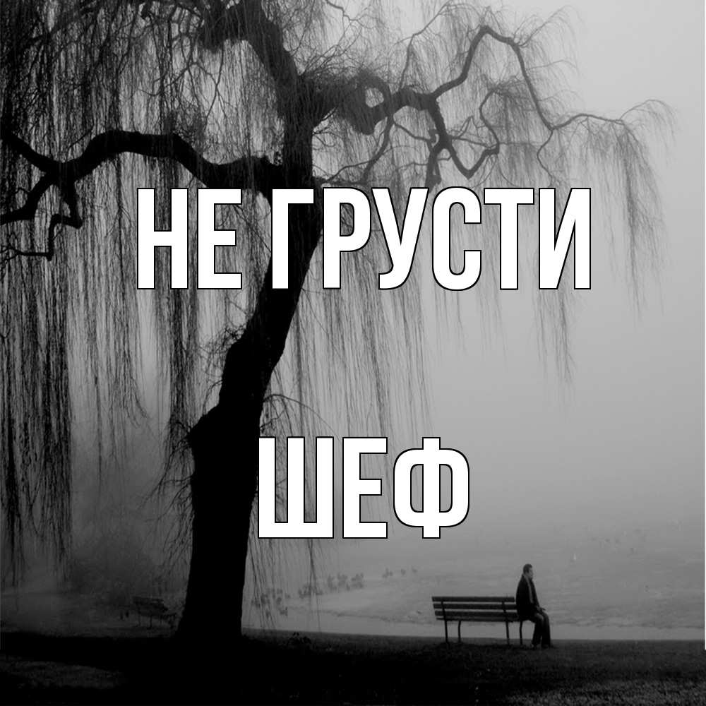 Открытка на каждый день с именем, Шеф Не грусти висящие ветки дерева и лавочка под деревом Прикольная открытка с пожеланием онлайн скачать бесплатно 