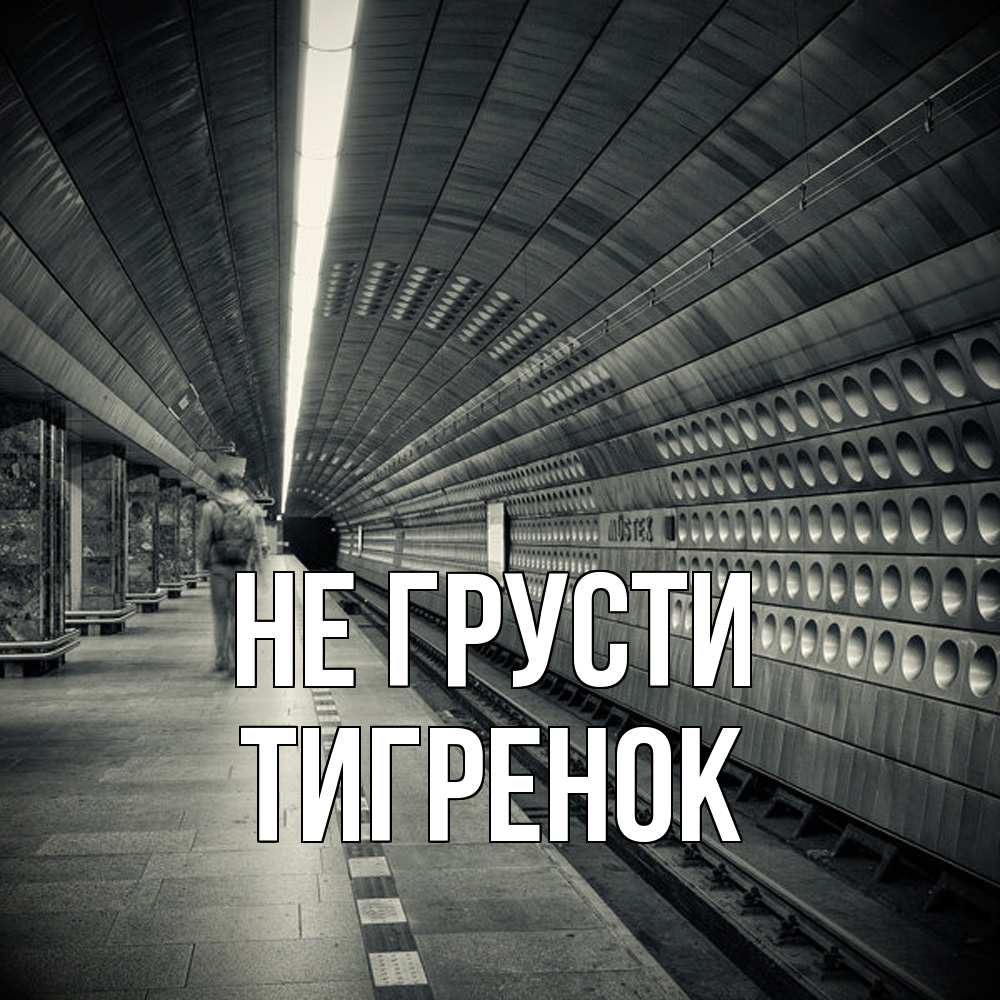 Открытка на каждый день с именем, Тигpенок Не грусти пустая станция метро Прикольная открытка с пожеланием онлайн скачать бесплатно 