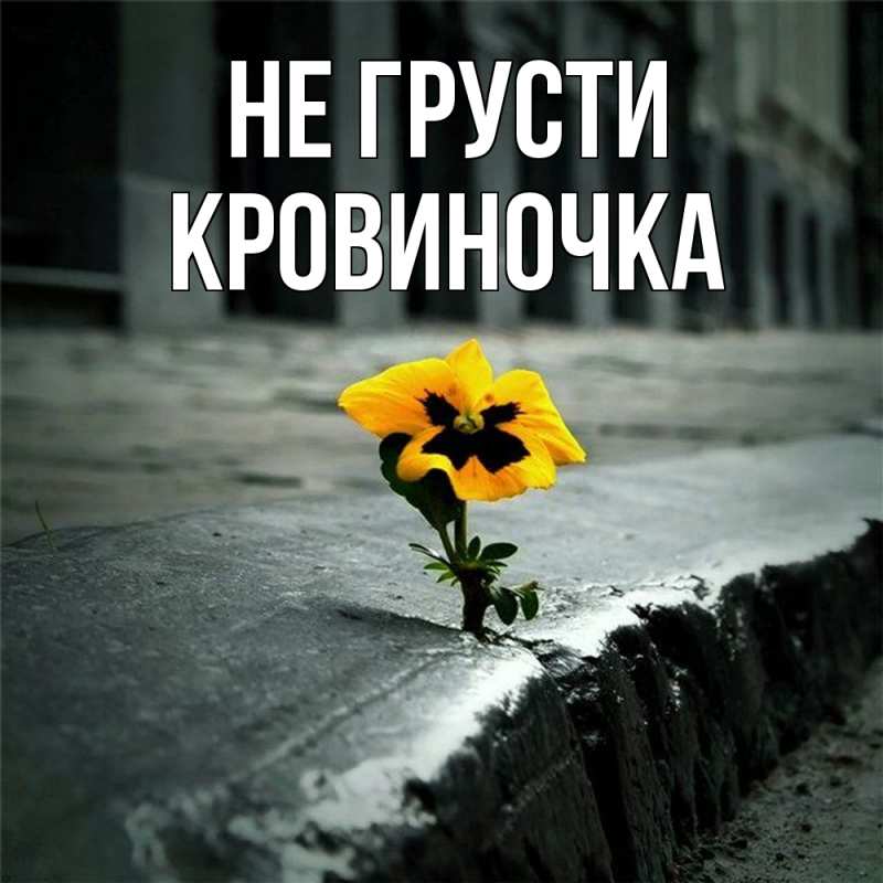 Картинка Не грусти, кровиночка
