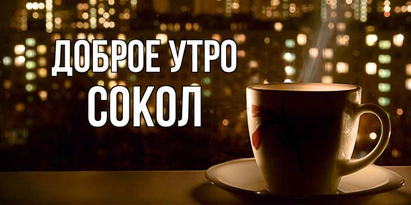 Картинка Доброе утро, Сокол