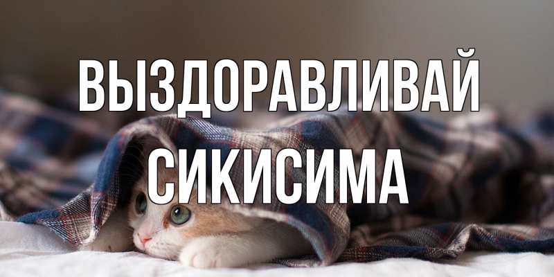 Картинка Выздоравливай, Сикисима