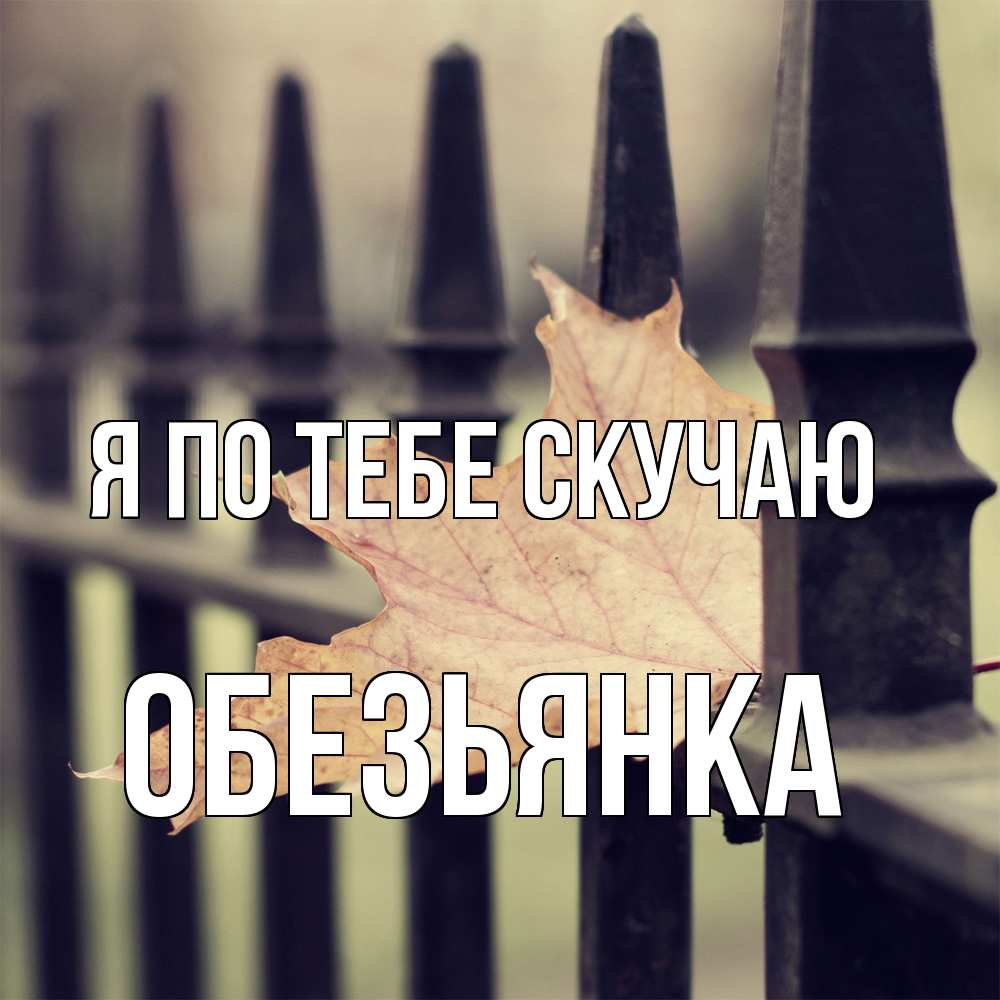 Открытка на каждый день с именем, Обезьянка Я по тебе скучаю очень скучно Прикольная открытка с пожеланием онлайн скачать бесплатно 