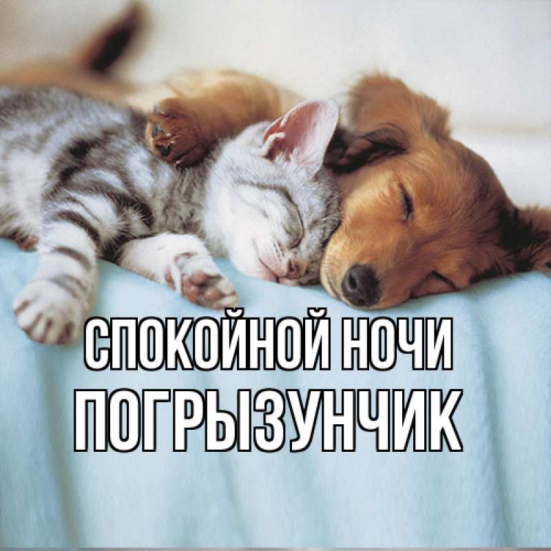 Картинка Спокойной ночи, Погрызунчик