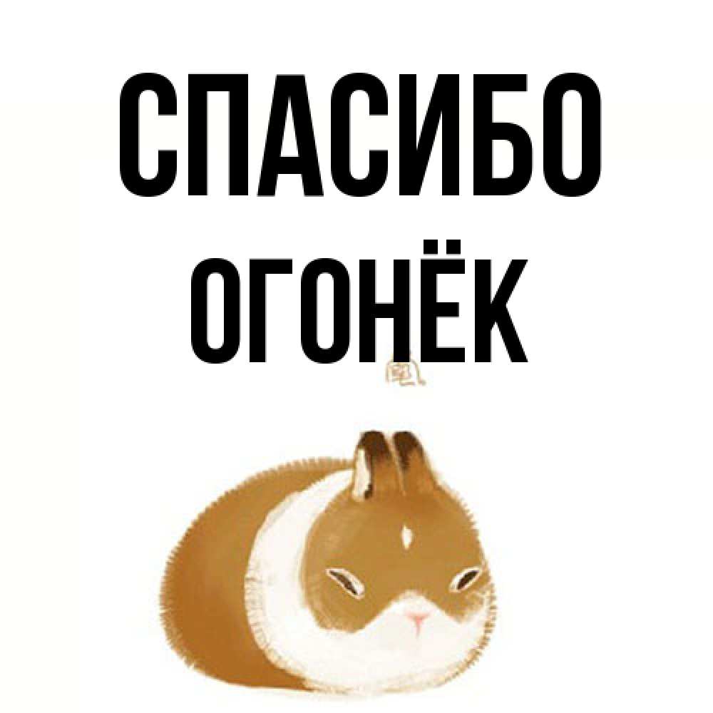 Открытка на каждый день с именем, Огонёк Спасибо коричнево белый домашний питомец Прикольная открытка с пожеланием онлайн скачать бесплатно 
