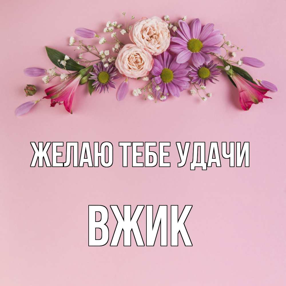 Открытка на каждый день с именем, Вжик Желаю тебе удачи розовый фон Прикольная открытка с пожеланием онлайн скачать бесплатно 