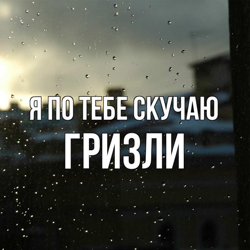 Картинка Я по тебе скучаю, Гризли