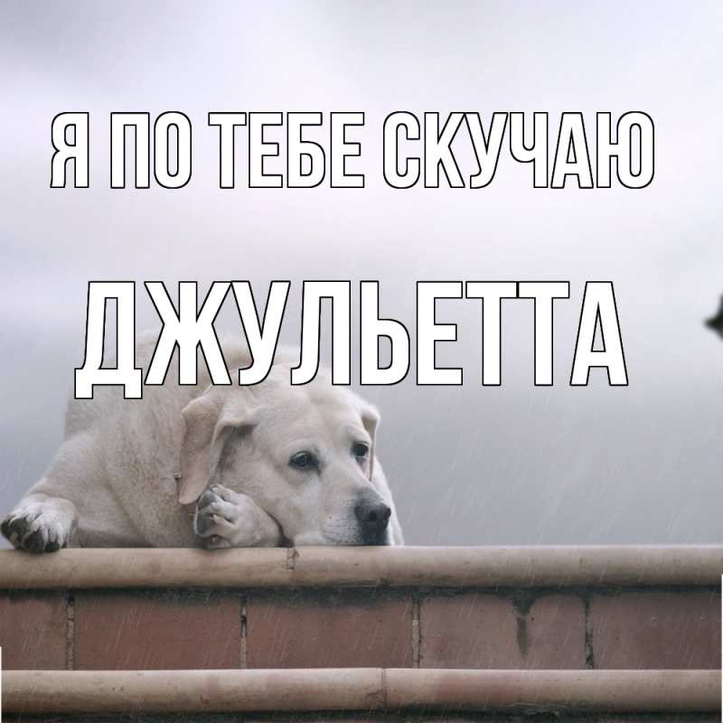 Картинка Я по тебе скучаю, Джульетта