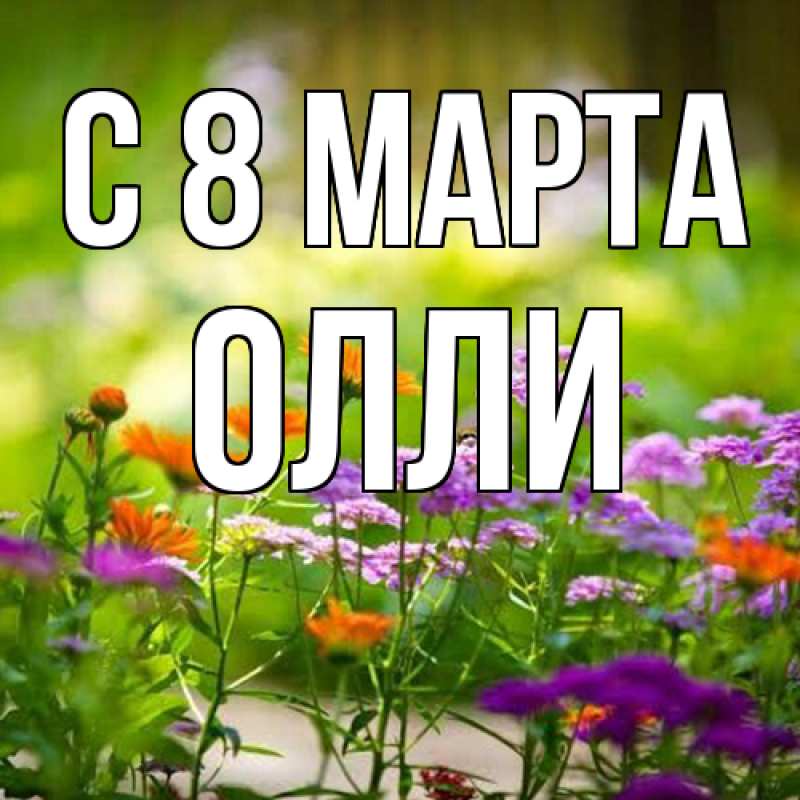 Картинка C 8 МАРТА, Олли