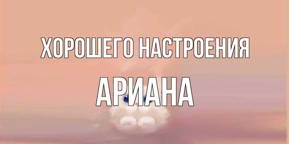 Открытка на каждый день с именем, Ариана Хорошего настроения кошка Прикольная открытка с пожеланием онлайн скачать бесплатно 