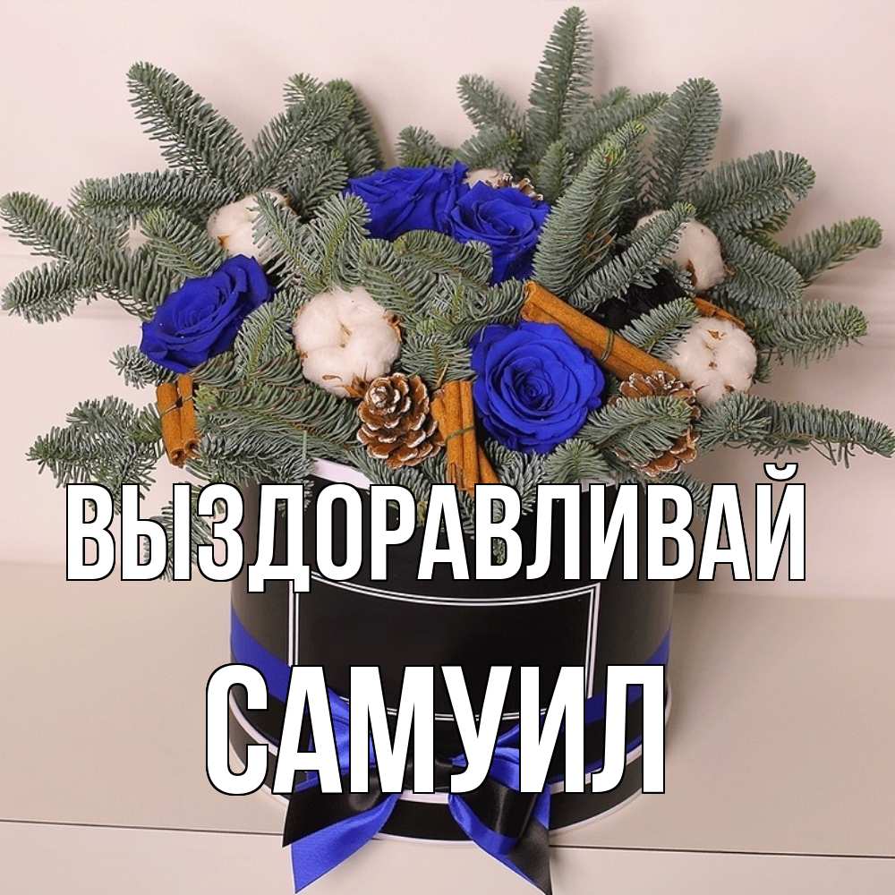 Открытка на каждый день с именем, Самуил Выздоравливай короче кто то загрузил эти шишки Прикольная открытка с пожеланием онлайн скачать бесплатно 