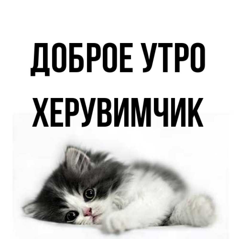 Картинка Доброе утро, Хеpувимчик