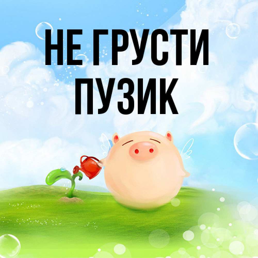 Открытка на каждый день с именем, Пузик Не грусти поливает цветок порося Прикольная открытка с пожеланием онлайн скачать бесплатно 