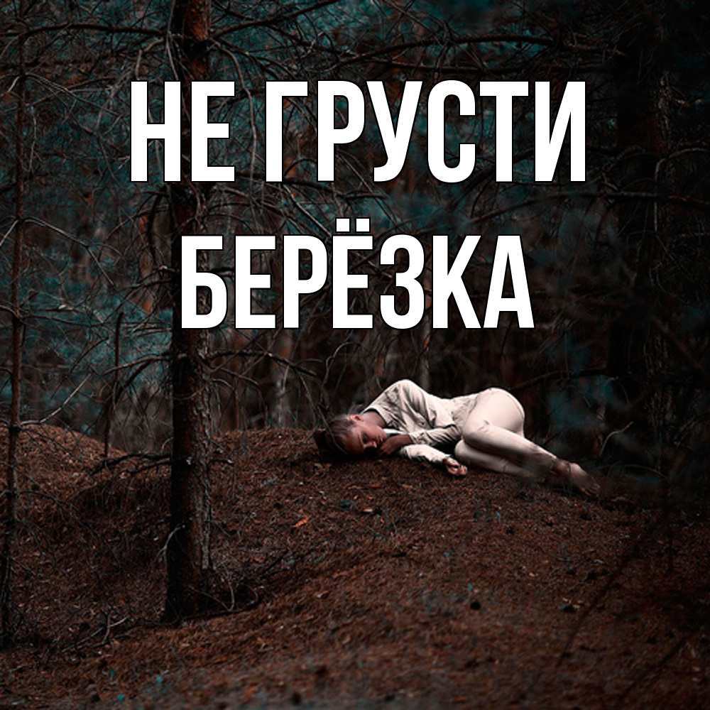 Открытка на каждый день с именем, Берёзка Не грусти лес Прикольная открытка с пожеланием онлайн скачать бесплатно 