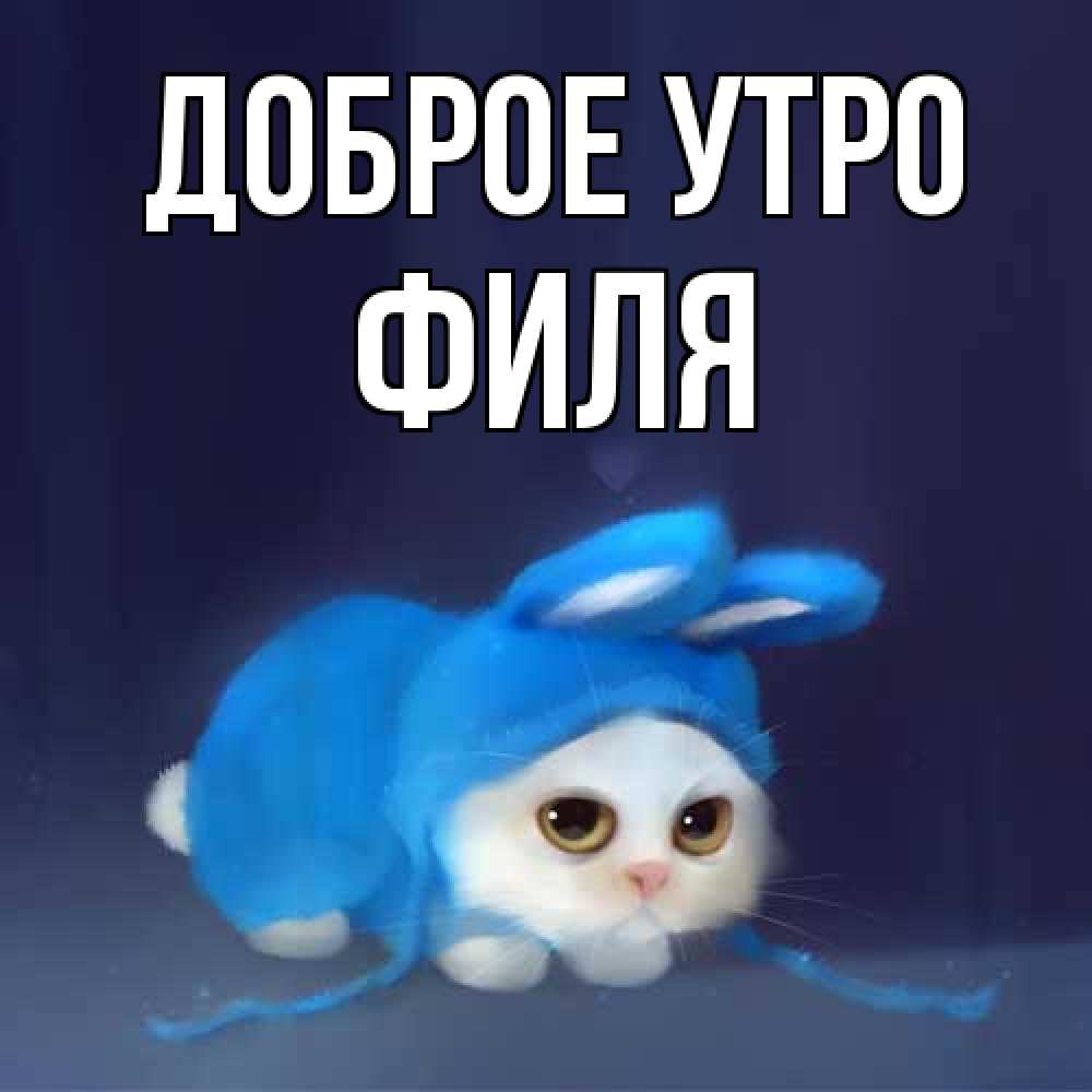 Открытка на каждый день с именем, Филя Доброе утро открытки красивые скачать бесплатно Прикольная открытка с пожеланием онлайн скачать бесплатно 
