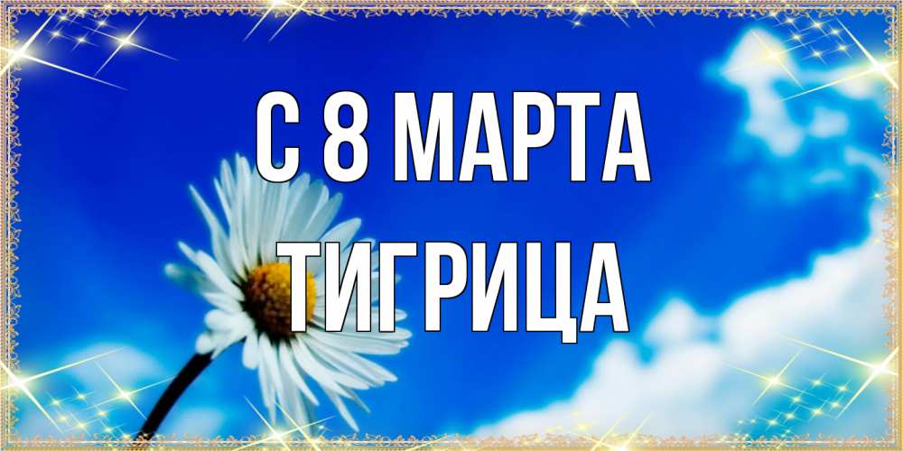 Открытка на каждый день с именем, Тигрица C 8 МАРТА красивая открытка в синих тонах Прикольная открытка с пожеланием онлайн скачать бесплатно 
