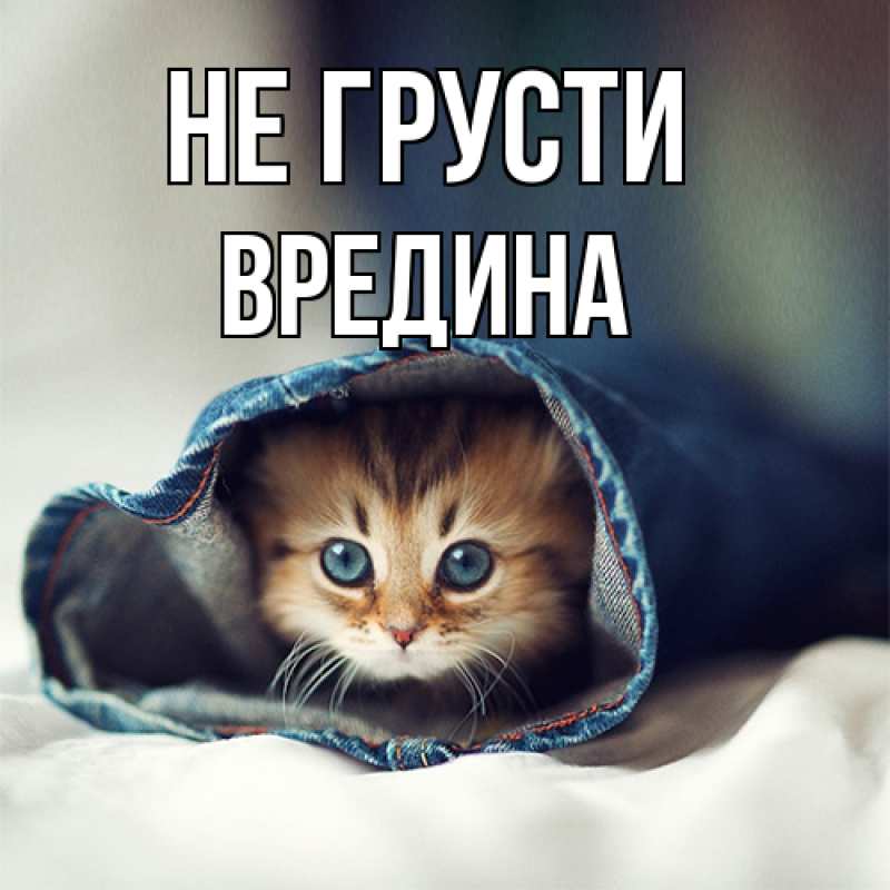 Открытка с именем, вредина, Не грусти