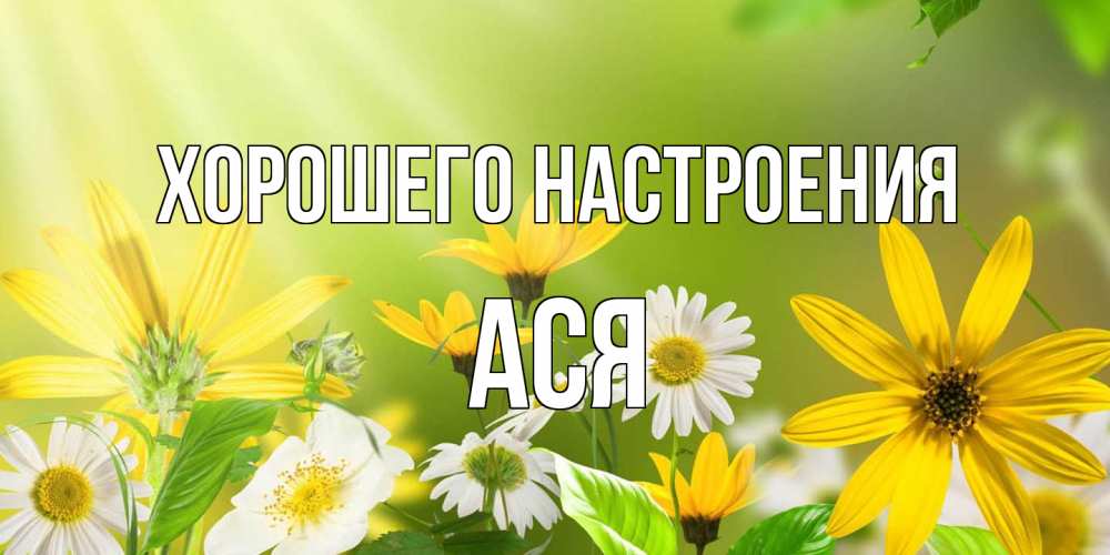 Открытка на каждый день с именем, Ася Хорошего настроения цветы Прикольная открытка с пожеланием онлайн скачать бесплатно 