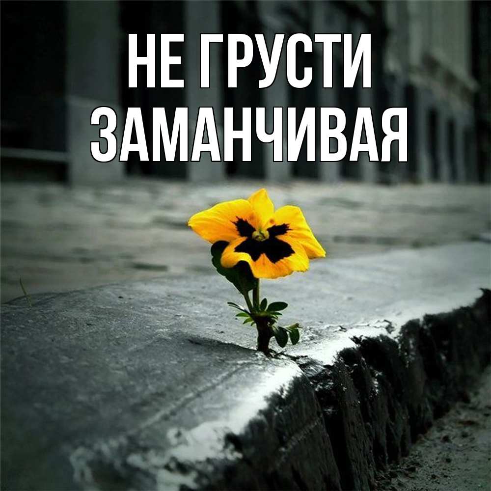 Открытка на каждый день с именем, Заманчивая Не грусти не сдавайся Прикольная открытка с пожеланием онлайн скачать бесплатно 