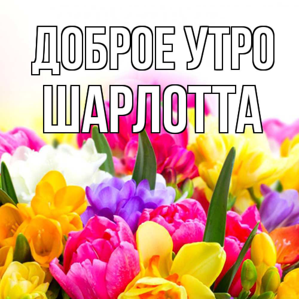 Открытка на каждый день с именем, Шарлотта Доброе утро создать открытку со свое подписью Прикольная открытка с пожеланием онлайн скачать бесплатно 