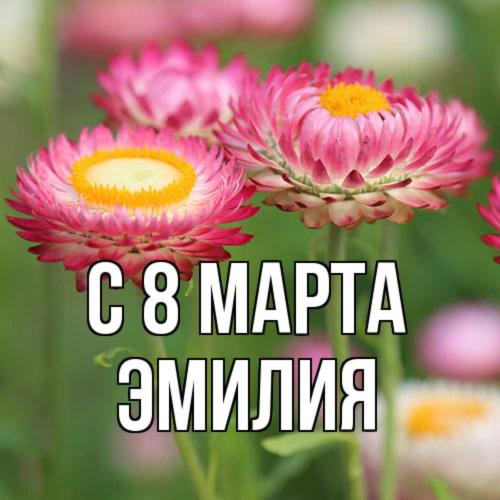 Открытка на каждый день с именем, Эмилия C 8 МАРТА подарок на международный женский день Прикольная открытка с пожеланием онлайн скачать бесплатно 