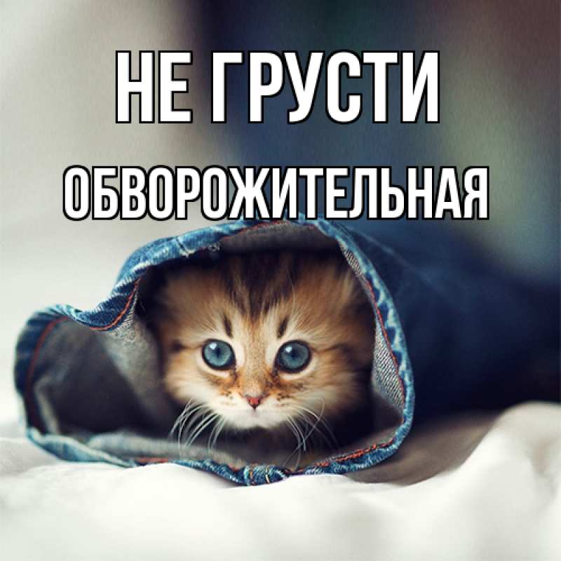 Картинка Не грусти, Обвоpожительная