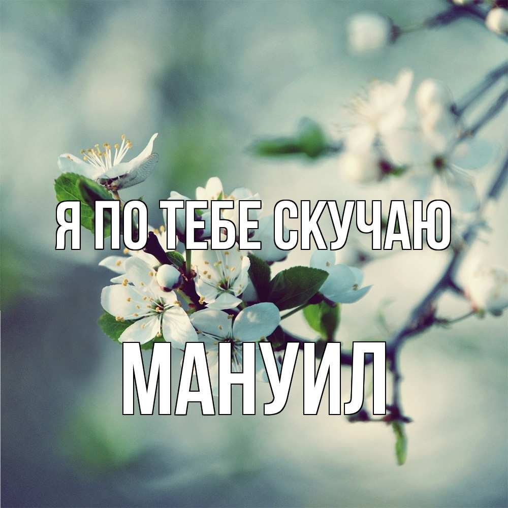 Открытка на каждый день с именем, Мануил Я по тебе скучаю весна Прикольная открытка с пожеланием онлайн скачать бесплатно 