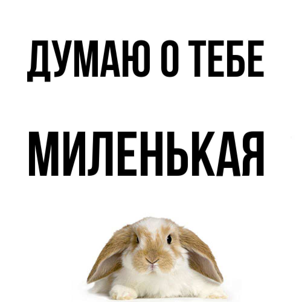 Открытка на каждый день с именем, Миленькая Думаю о тебе подписать своими руками онлайн Прикольная открытка с пожеланием онлайн скачать бесплатно 