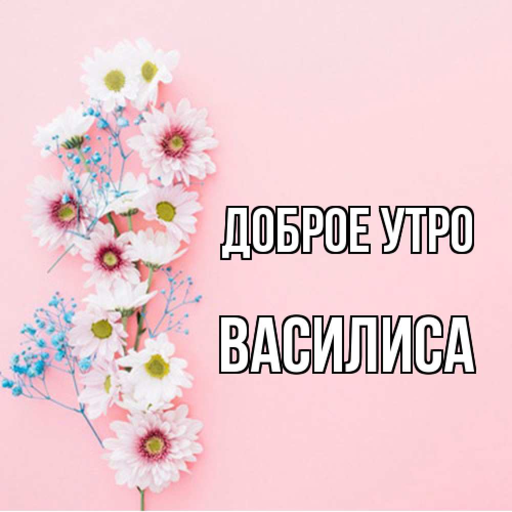 Открытка на каждый день с именем, Василиса Доброе утро цветы с подписью Прикольная открытка с пожеланием онлайн скачать бесплатно 