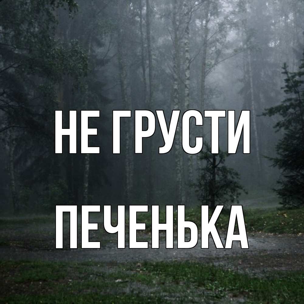Открытка на каждый день с именем, Печенька Не грусти осень Прикольная открытка с пожеланием онлайн скачать бесплатно 