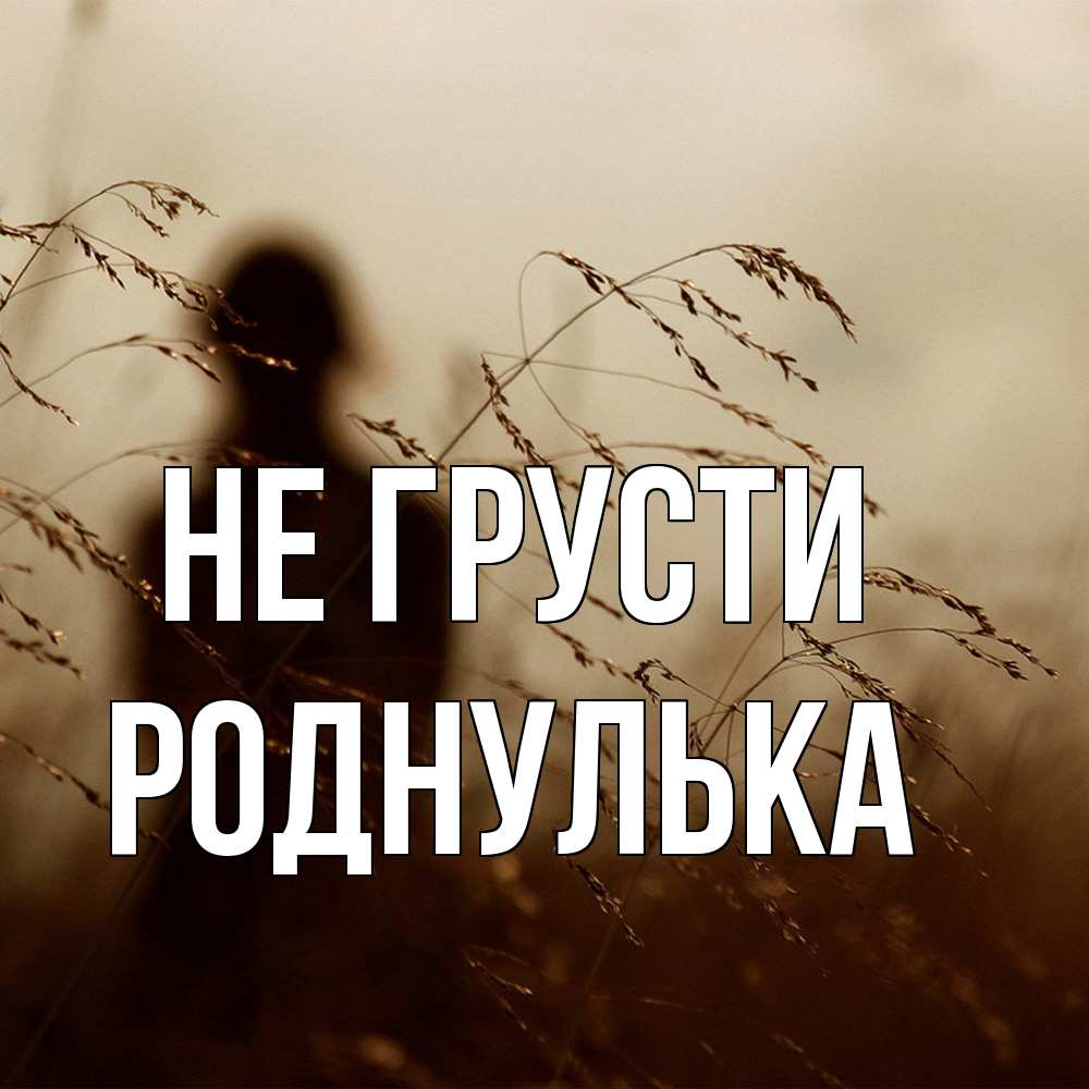 Открытка на каждый день с именем, Роднулька Не грусти грусть Прикольная открытка с пожеланием онлайн скачать бесплатно 