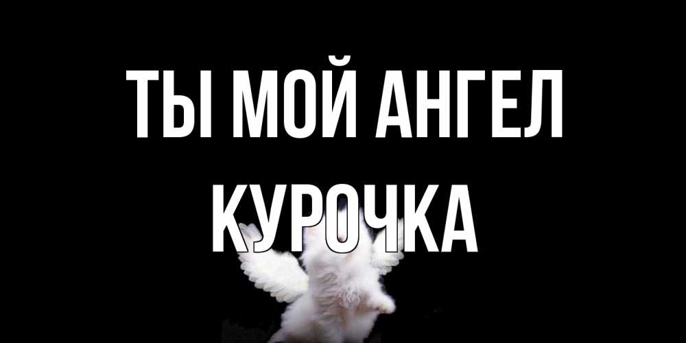 Открытка на каждый день с именем, Курочка Ты мой ангел Кот ангел Прикольная открытка с пожеланием онлайн скачать бесплатно 