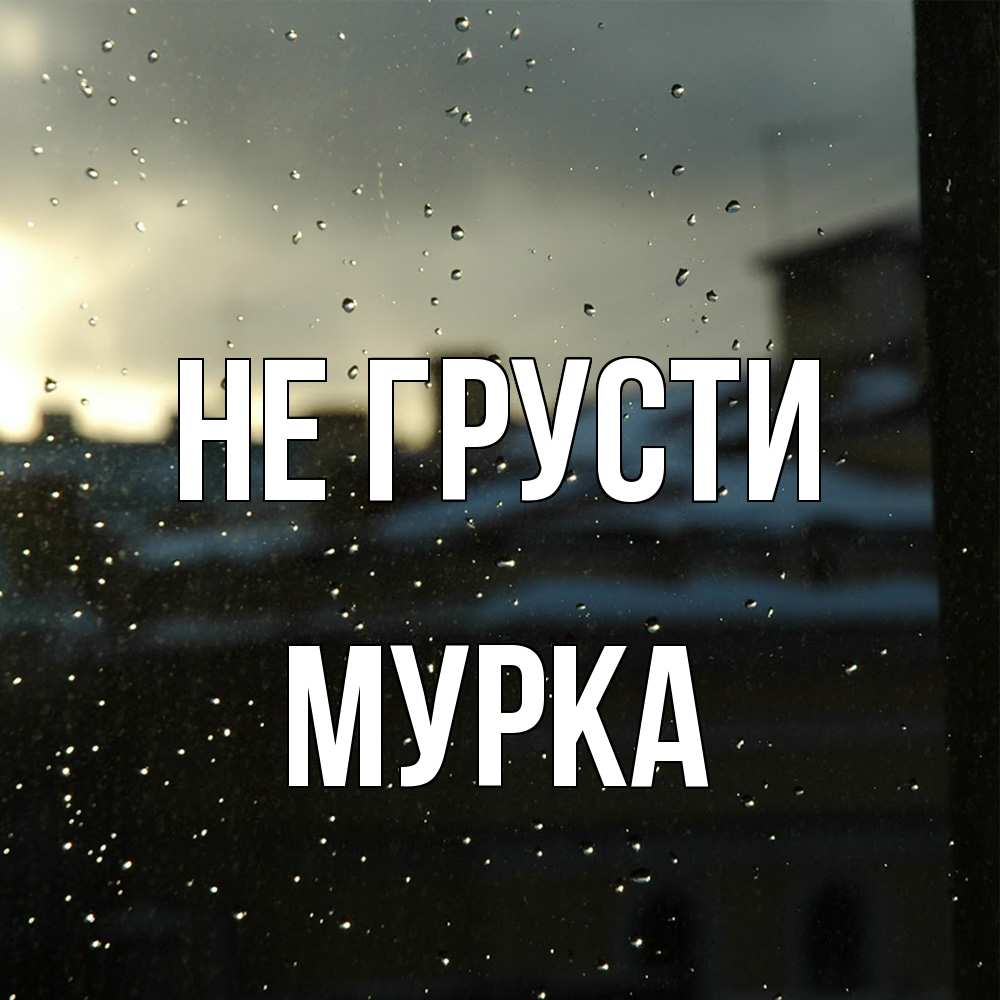 Открытка на каждый день с именем, Мурка Не грусти вид на крыши Прикольная открытка с пожеланием онлайн скачать бесплатно 