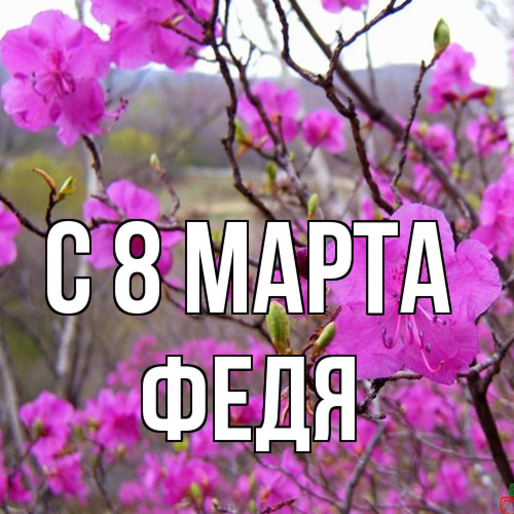 Открытка на каждый день с именем, Федя C 8 МАРТА международный женский день Прикольная открытка с пожеланием онлайн скачать бесплатно 