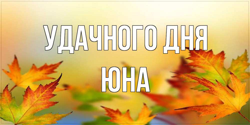 Открытка на каждый день с именем, Юна Удачного дня открытка с пожеланием хорошего осеннего дня Прикольная открытка с пожеланием онлайн скачать бесплатно 