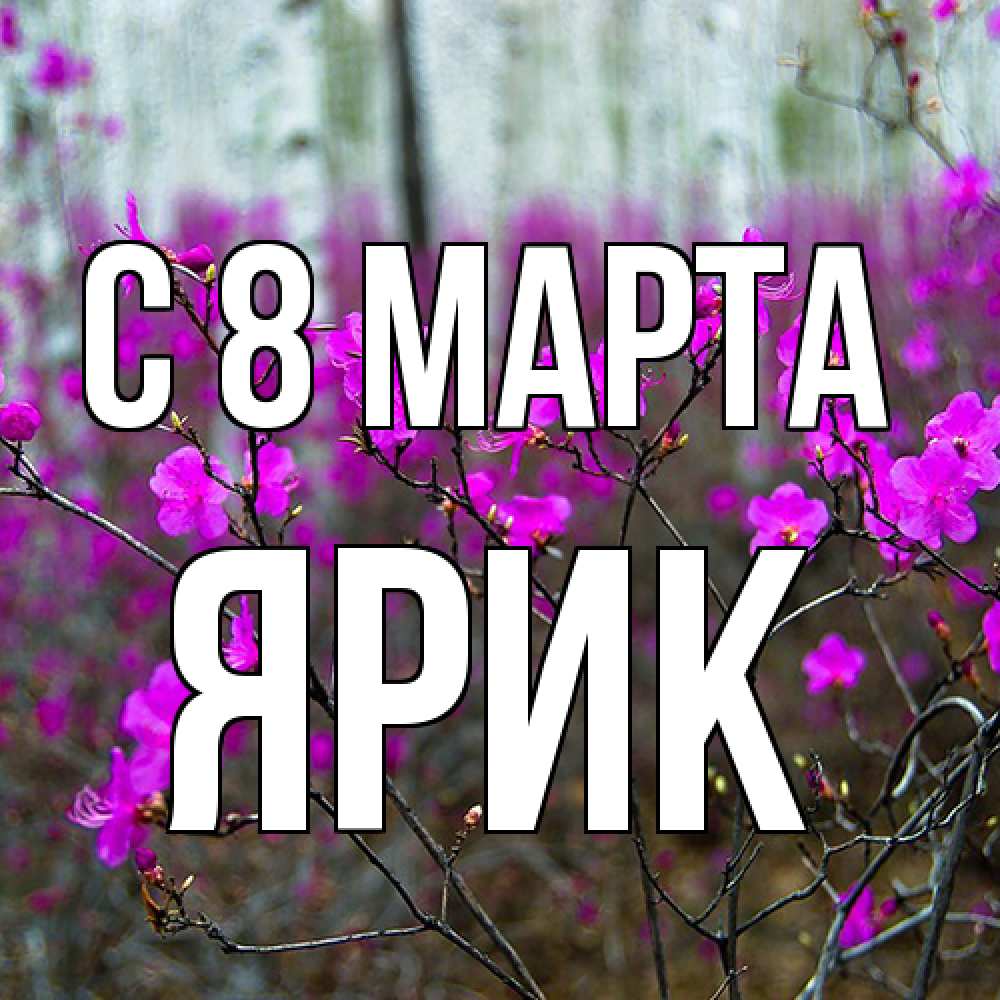 Открытка на каждый день с именем, Ярик C 8 МАРТА дикие цветы Прикольная открытка с пожеланием онлайн скачать бесплатно 